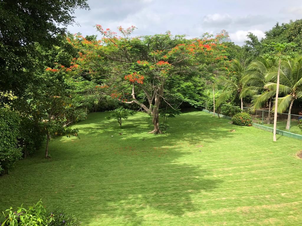 RE/MAX real estate, Panama, Chame - Las Lajas, Land for Sale in Coronado Beach.